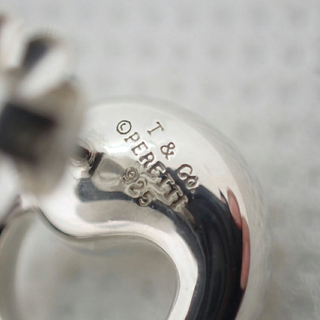 925 Eternal Circle Earrings J716