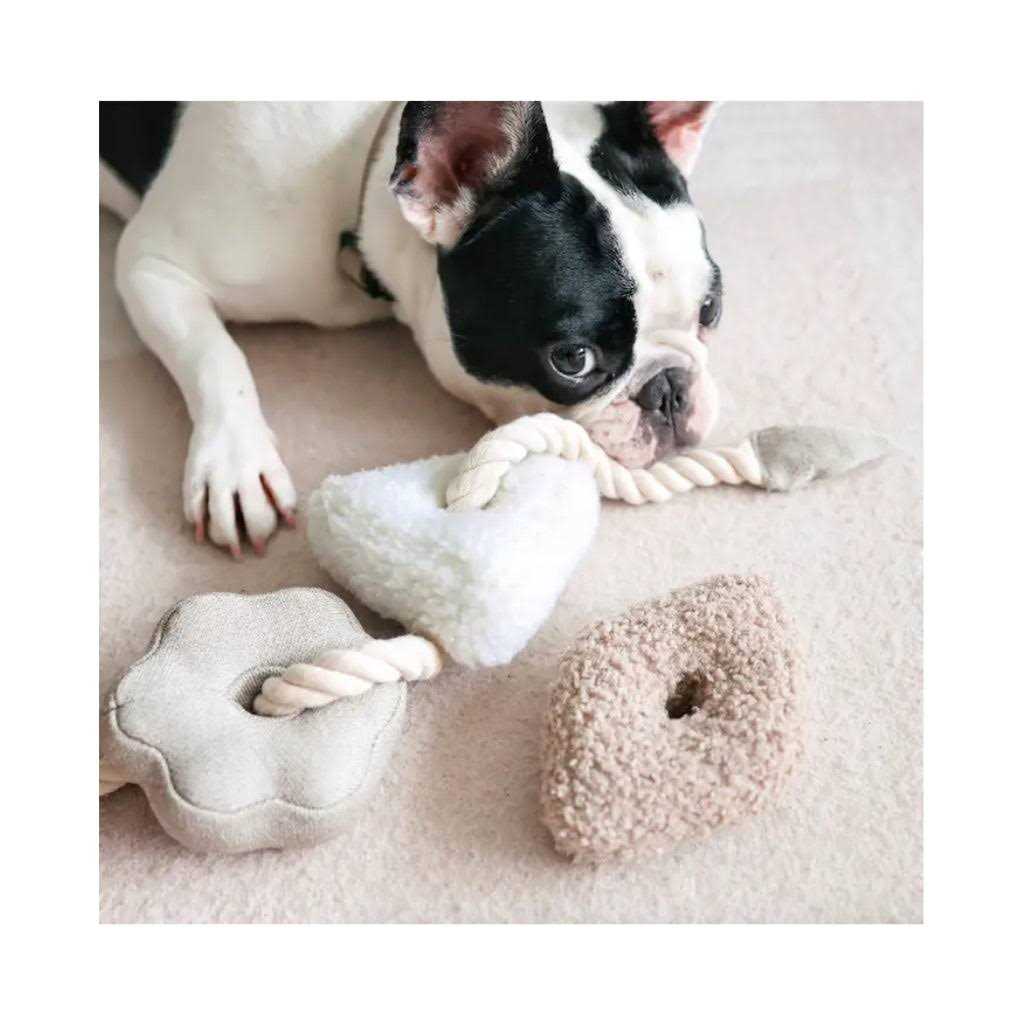 Enrichment Dog Toy B23778