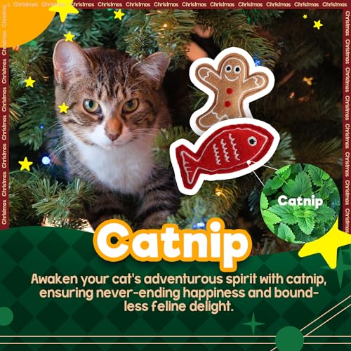 2 Set Cat Toys with Catnip B48076
