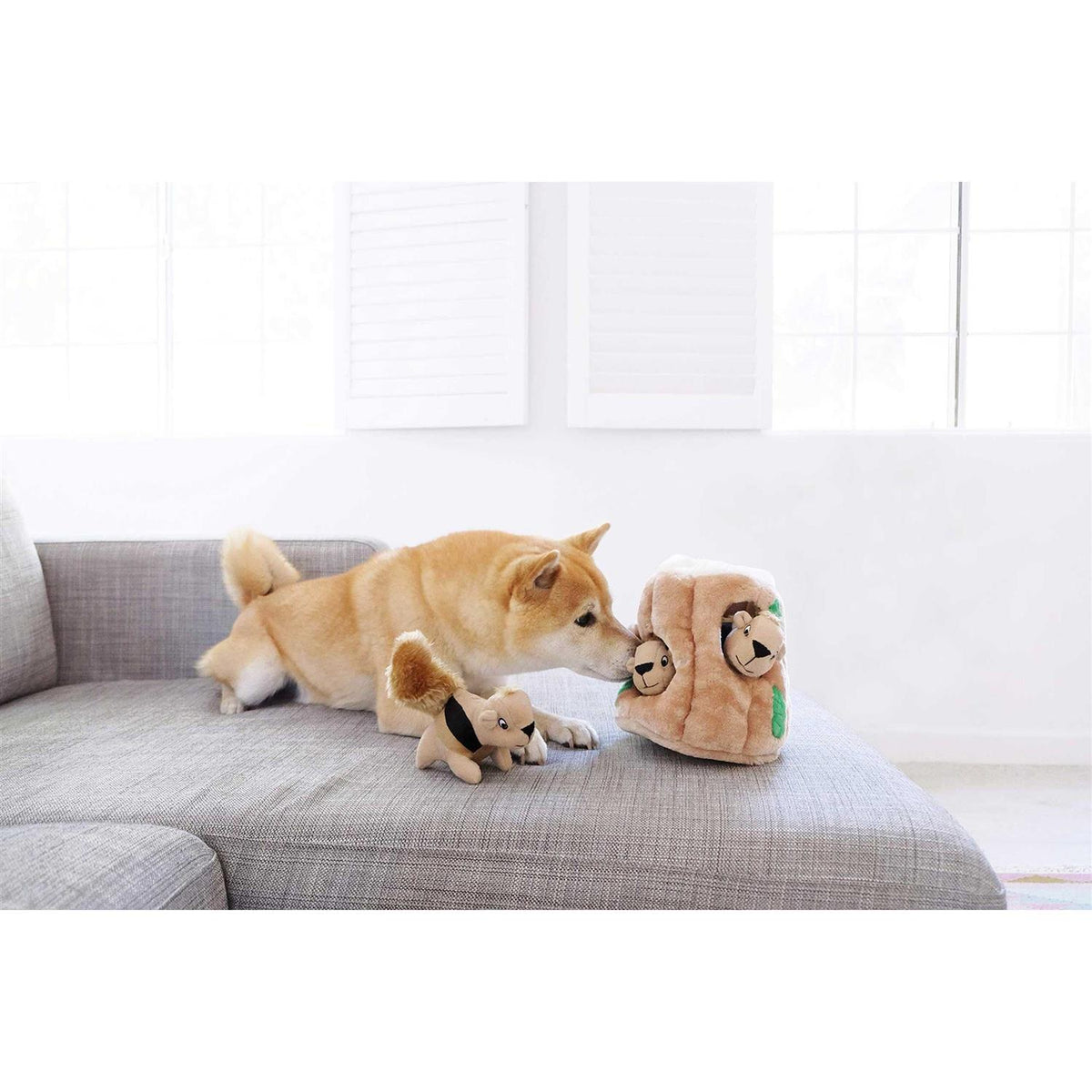 Hide A Squirrel Dog Toy H7390