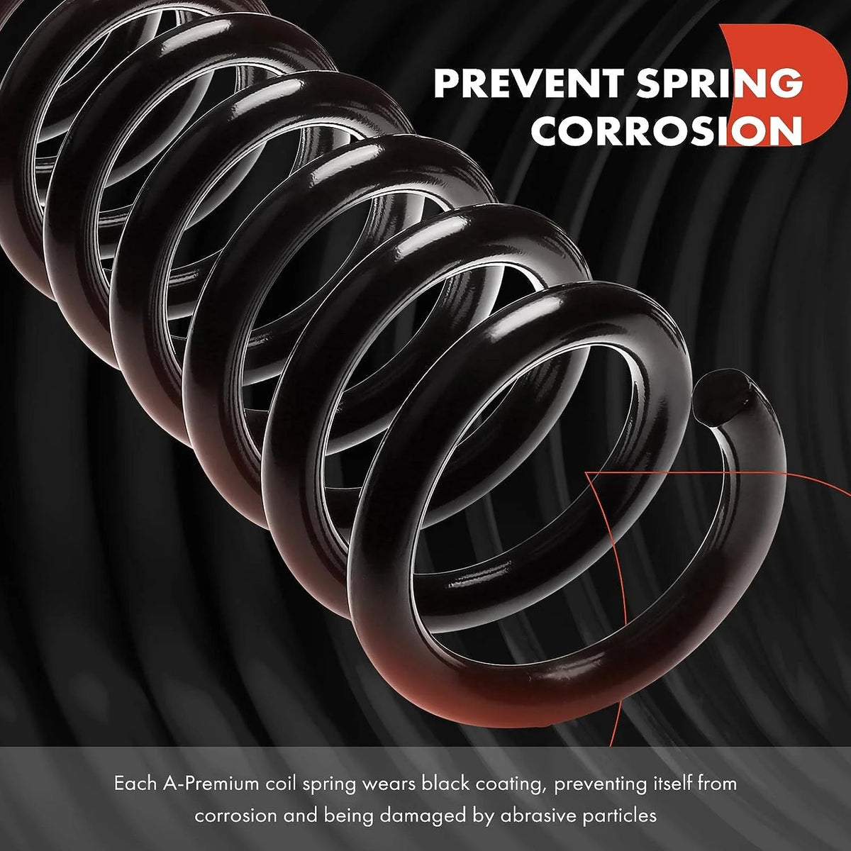 2Pcs Rear Left and Right Suspension Coil Spring Set N84149