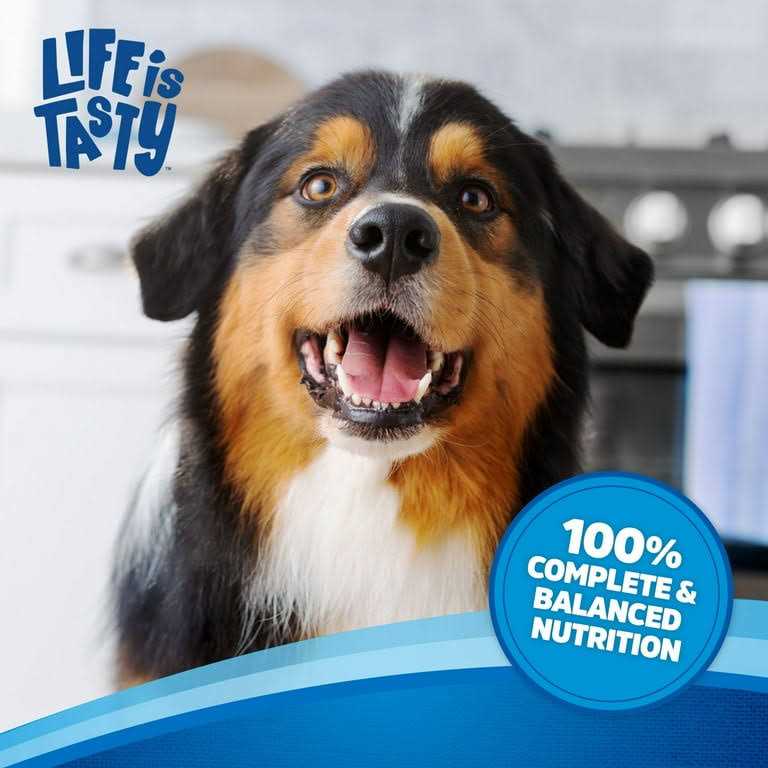 Beef Dog Food N887651