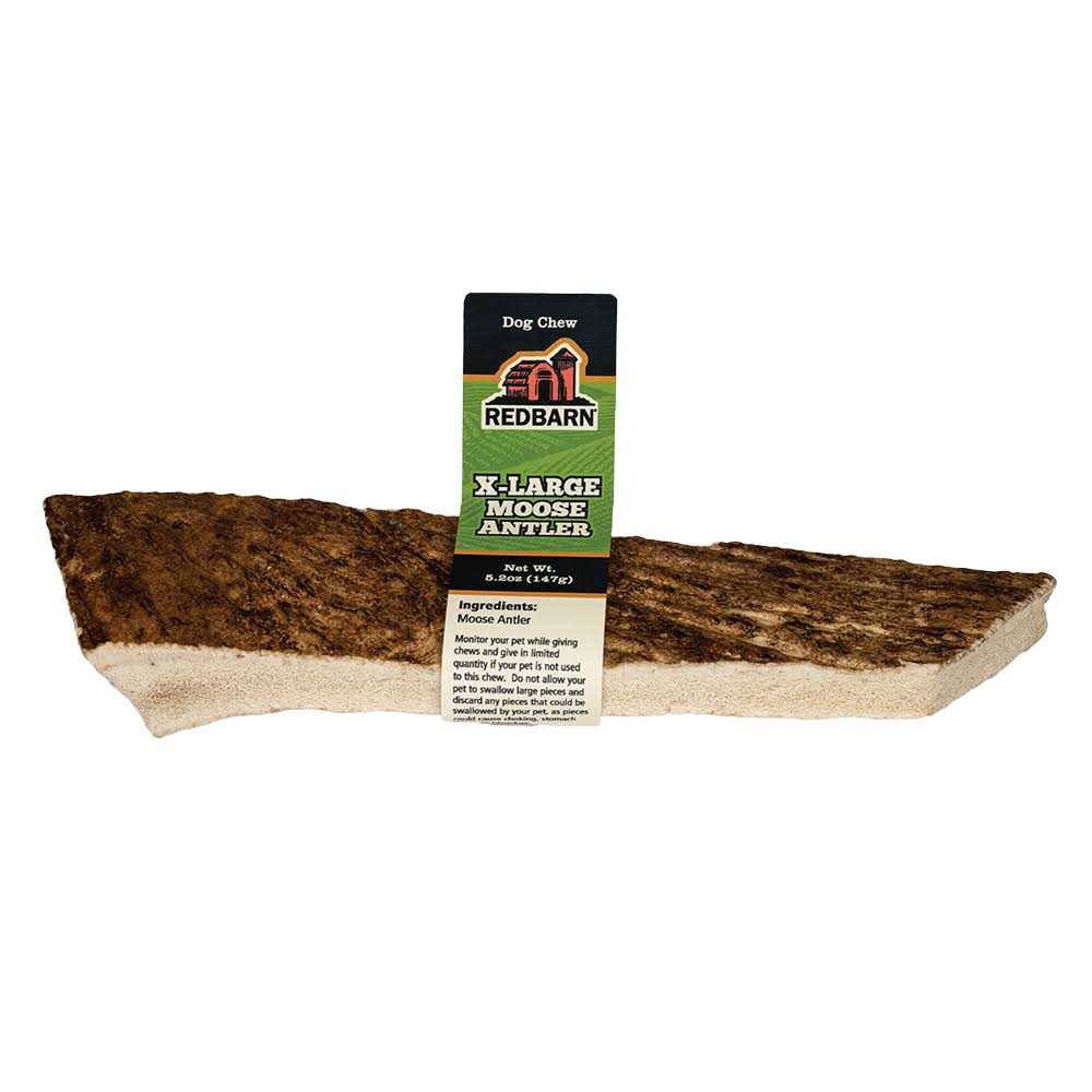Moose Antler Dog Chew C148