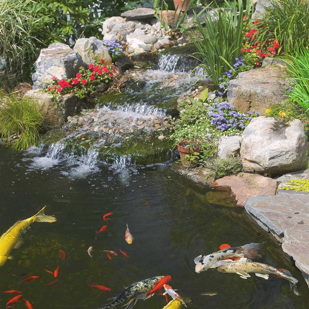 Goldfish & Koi Food G249345
