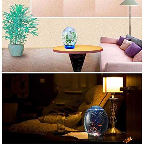 Black Mini Ecological Fish Tank with Led Base M333023