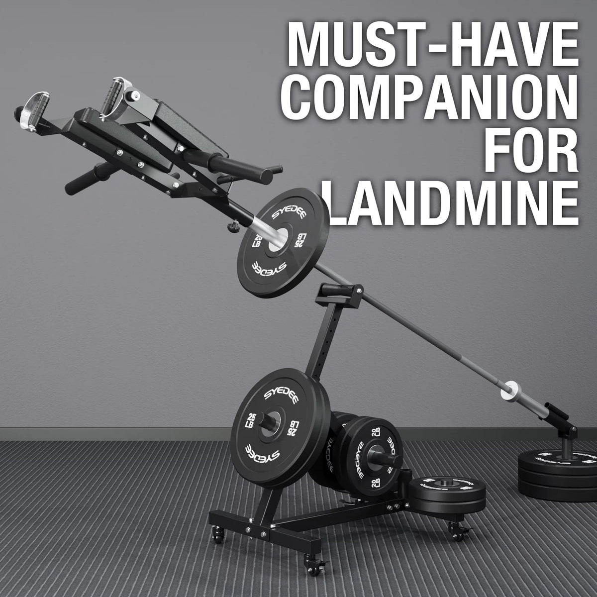 Landmine Squat Attachment with Viking Press O6843