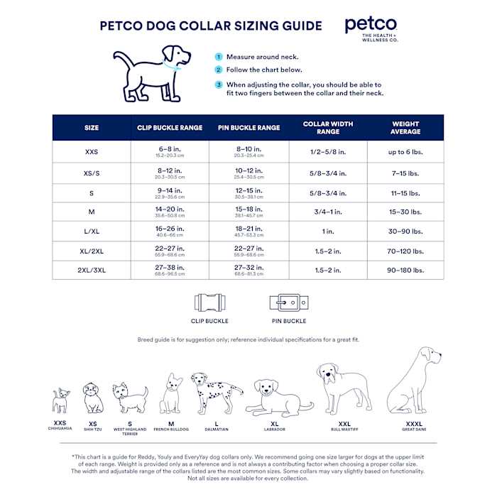 Check Nylon & Chain Dog Collar A532904