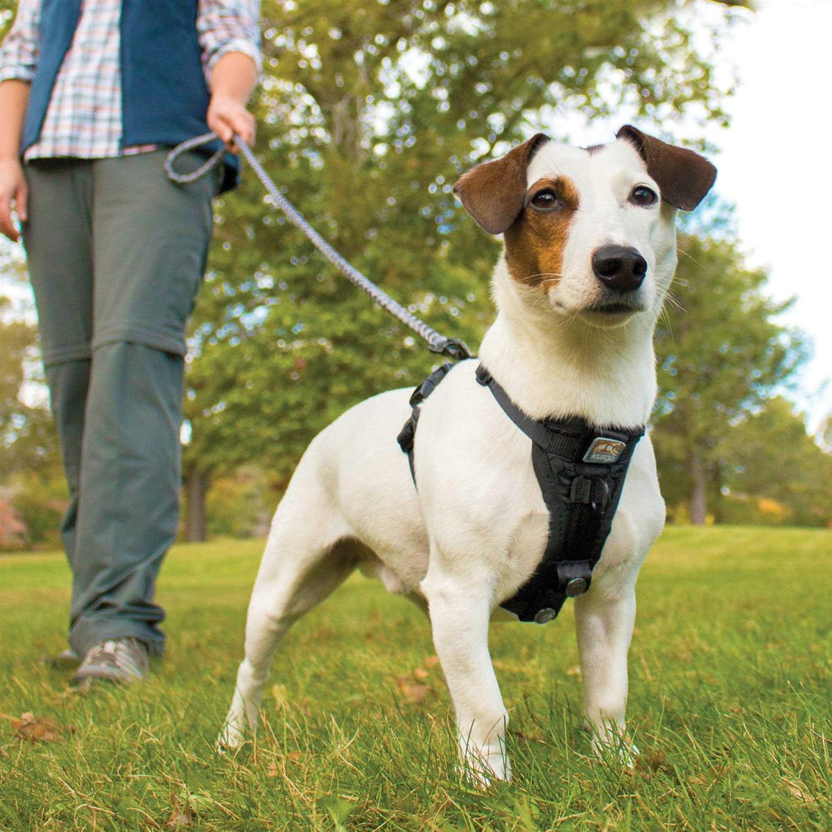 Tru Fit Smart Harness T1058