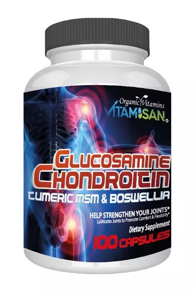 Glucosamine Chondroitin Joint Support H741