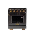 30 Dual Fuel Propane Gas Range Titanium Stainless Steel Q779
