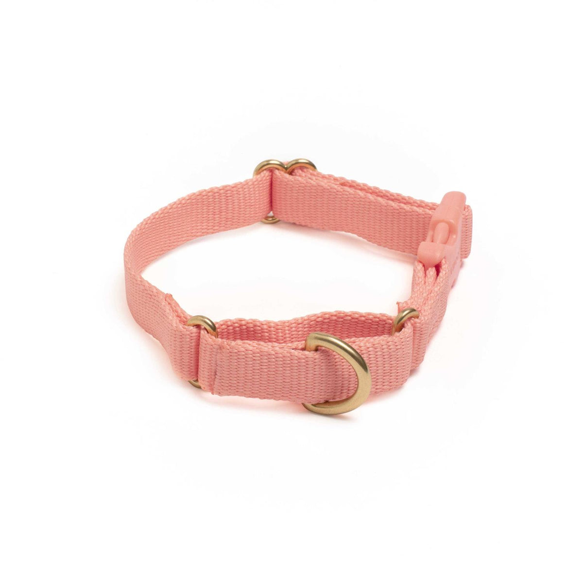 Martingale Dog Collar G157394