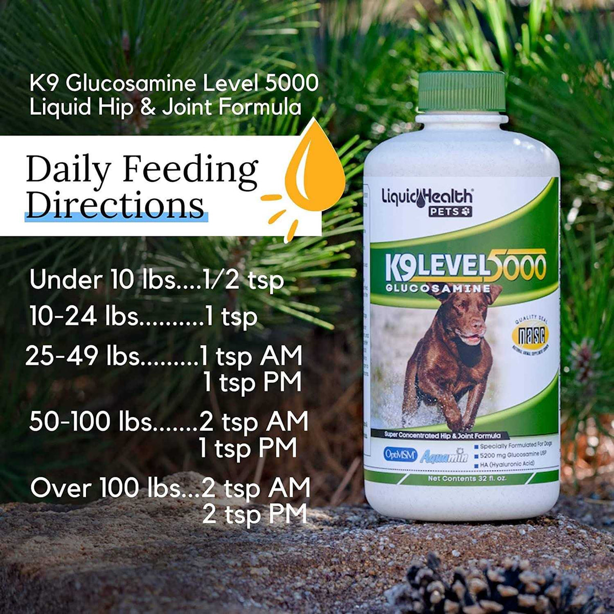 Glucosamine T341