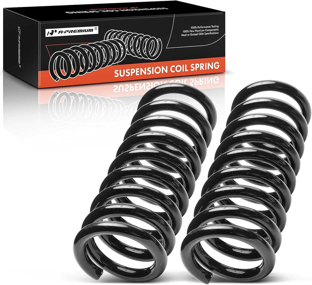 2Pcs Rear Left and Right Suspension Coil Spring Set N84149