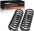 2Pcs Rear Left and Right Suspension Coil Spring Set N84149