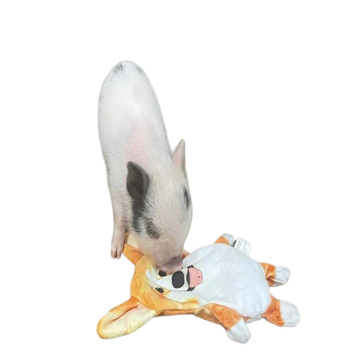 Corgi Paper Crinkle Squeaker Toy J6912