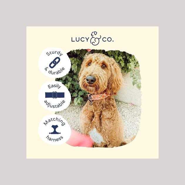 Pink Dog Collar Q280679