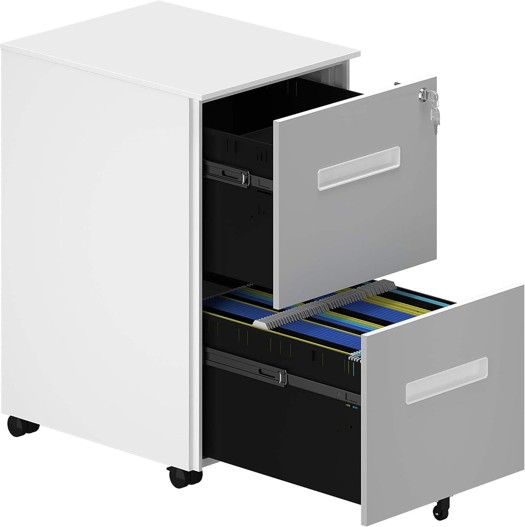 Gray and White 2-Drawer Metal File Cabinet V441621