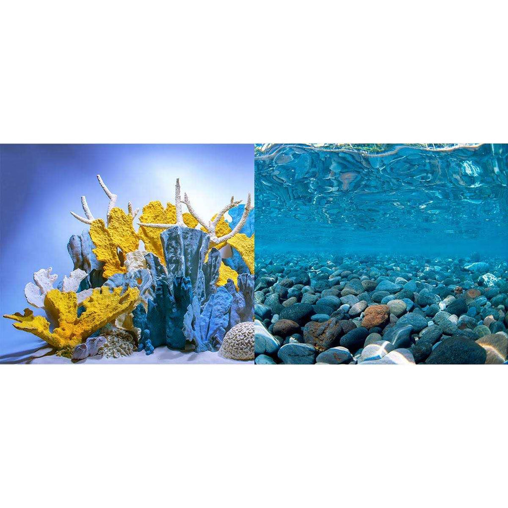 River Rock/Coral Bliss Background B31168