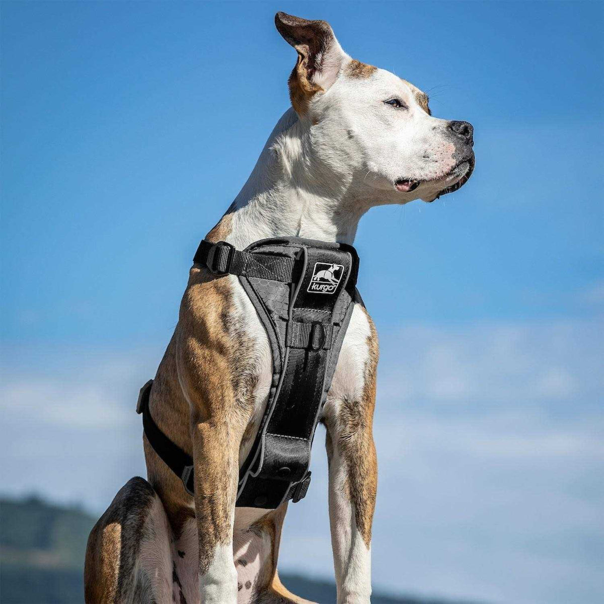 Tru Fit Smart Harness T1058
