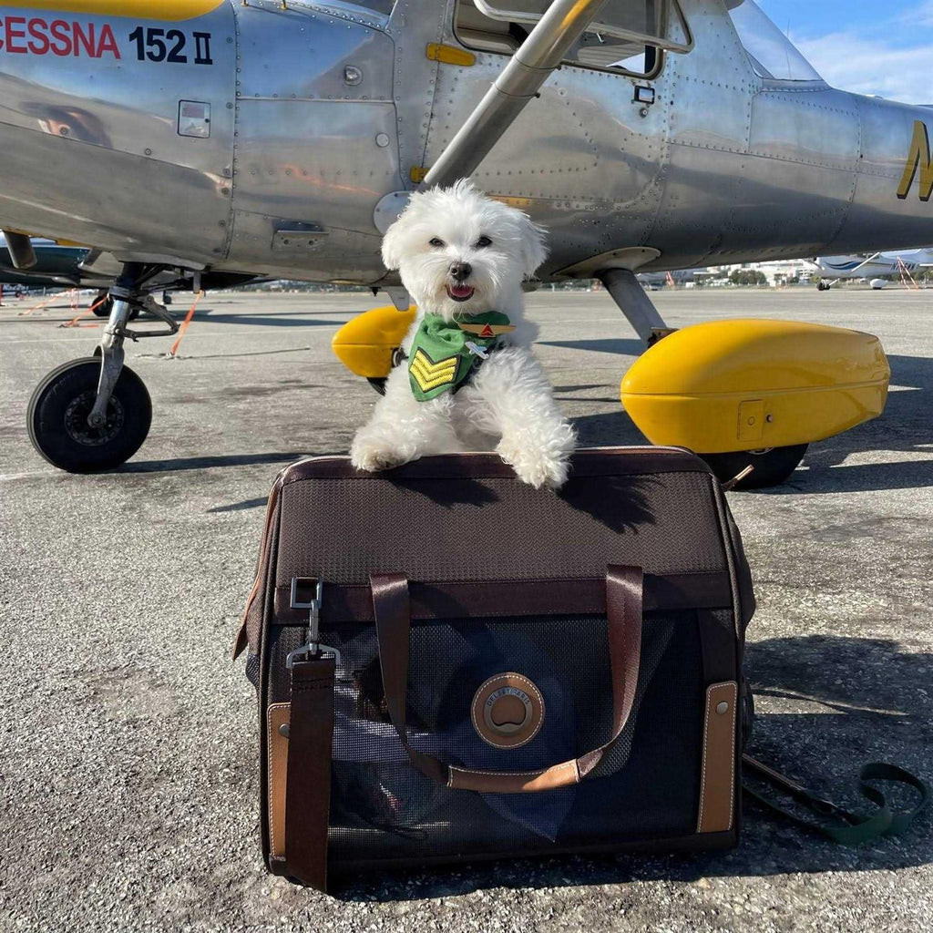 Pet Carrier S33266