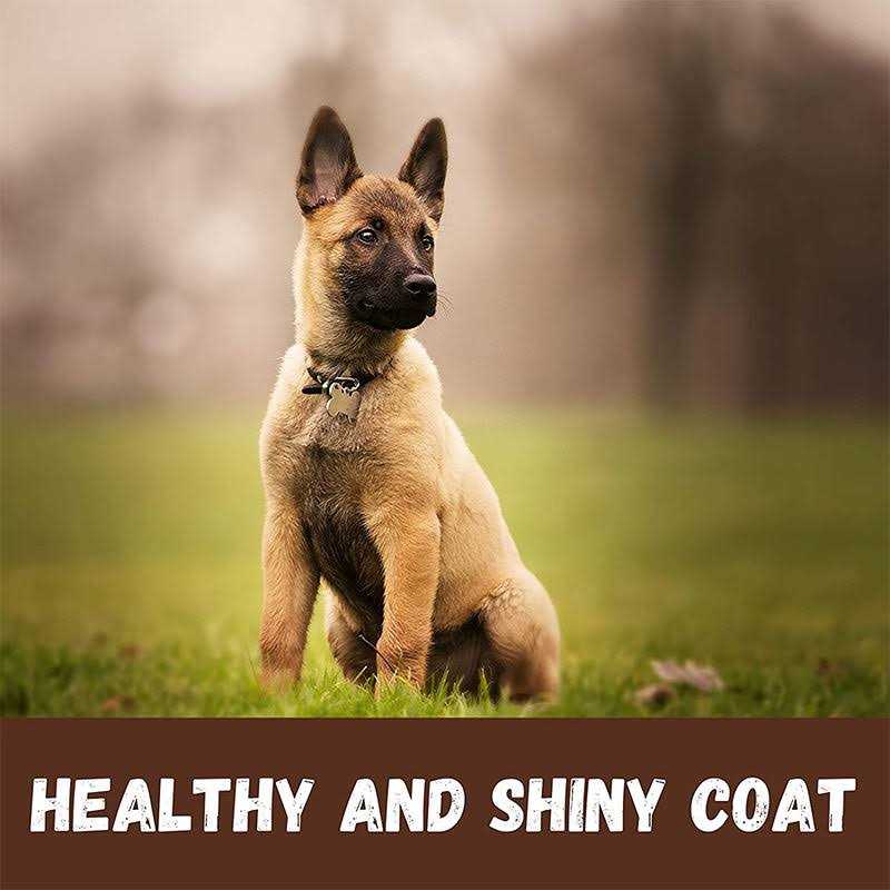 Pet Supplies W225216