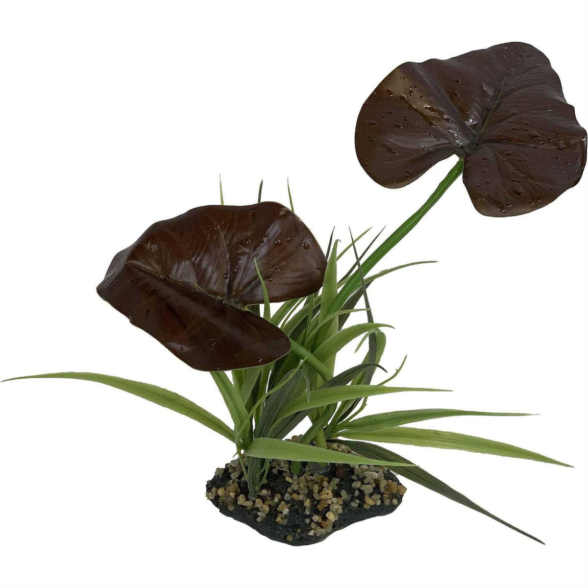 Canopy Plant M999