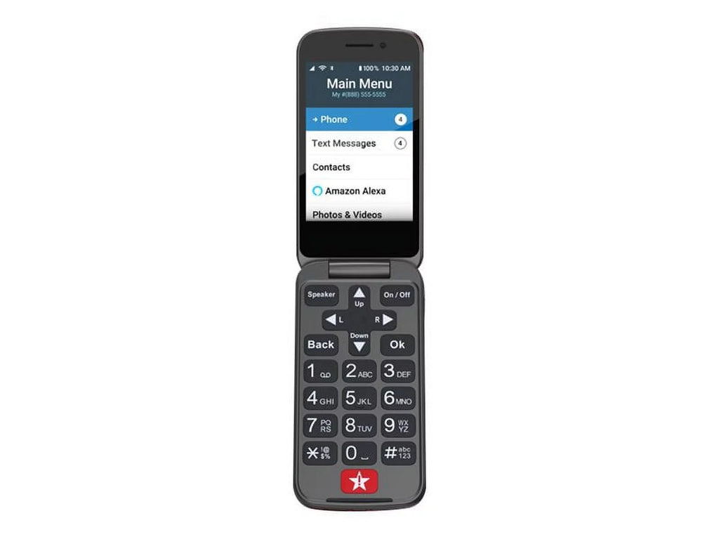 Red Flip2 Cell Phone Z263