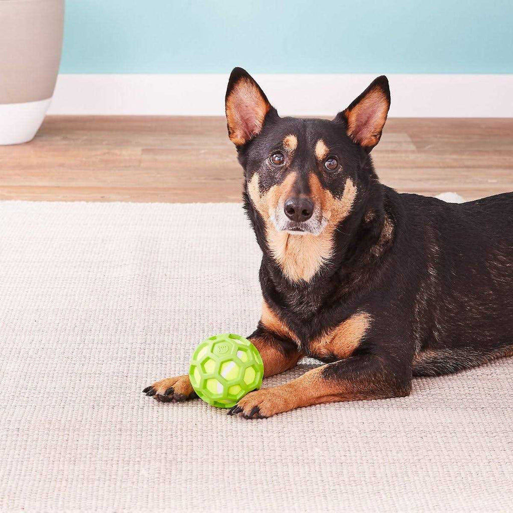 Dog Toy W22009
