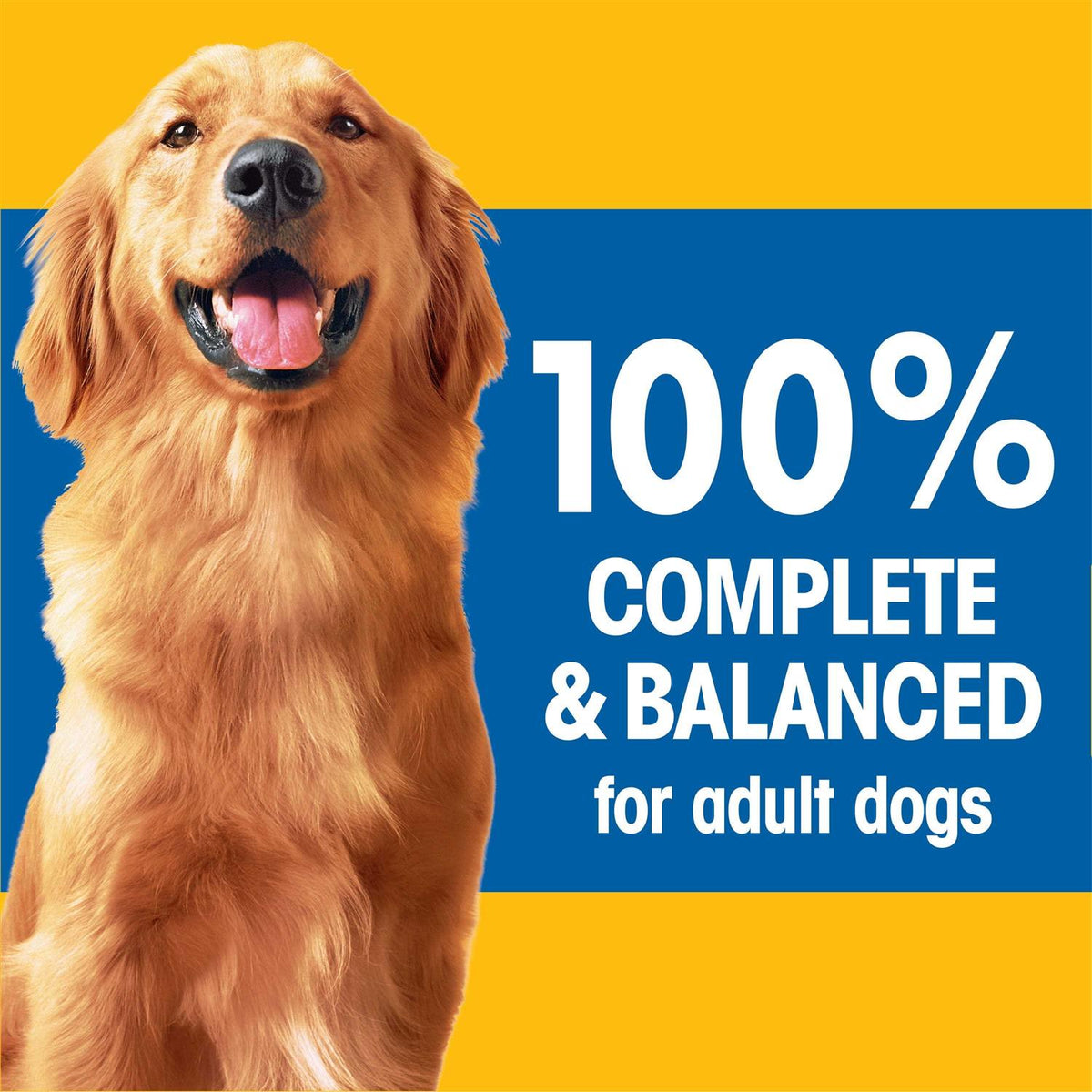 Adult Dry Dog Food A64477