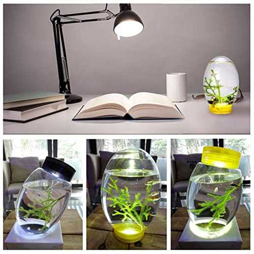 Black Mini Ecological Fish Tank with Led Base M333023