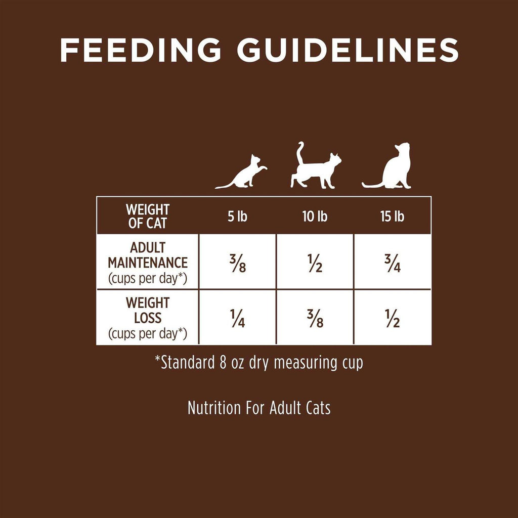 Limited Ingredient Grain-Free Rabbit Dry Cat Food G341153