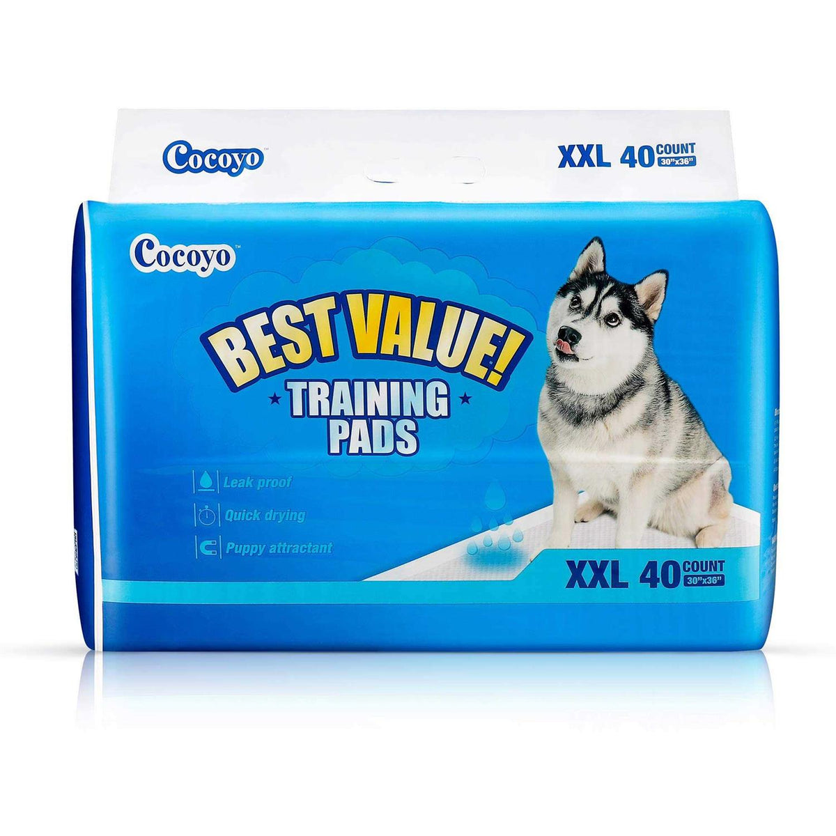 Training Pads P255598