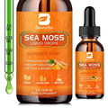 Organic Irish Sea Moss Liquid Drops with Burdock Root, Turmeric, Spirulina - 2 Fl Oz E763073