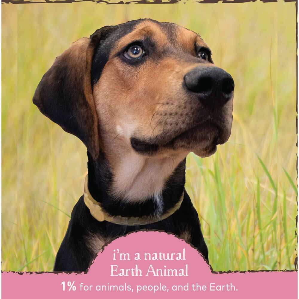 Herbal Flea & Tick Collar for Cats O4737