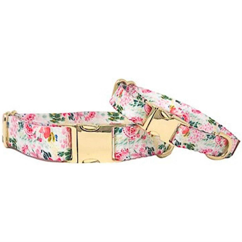 Pink Collar Q35291