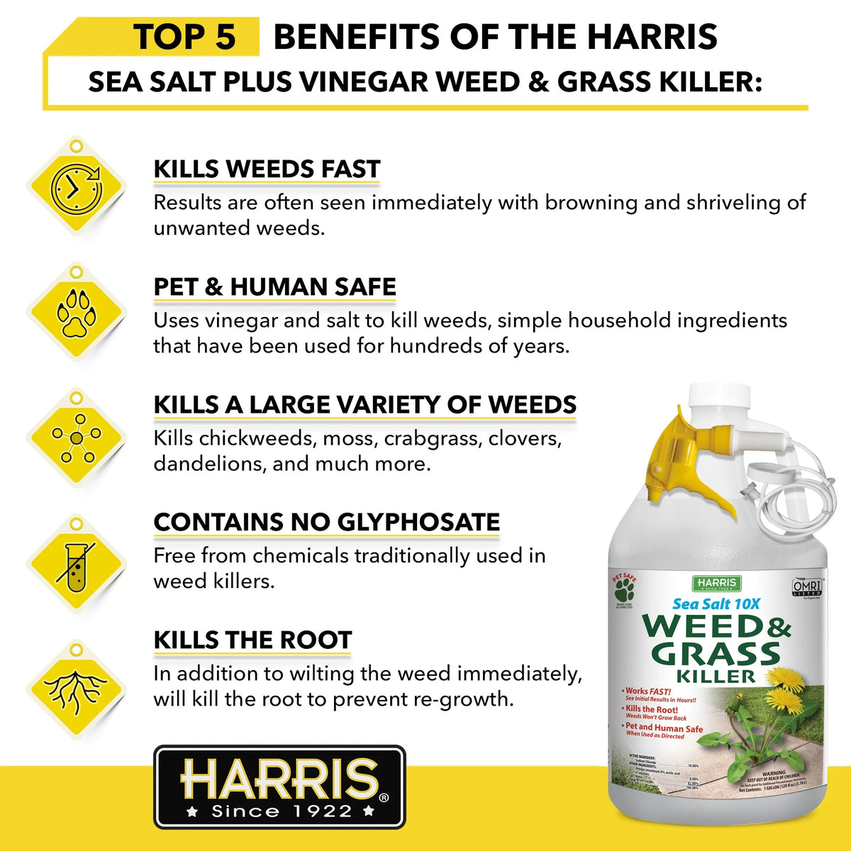 Sea Salt Weed & Grass Killer 128 oz Z60492