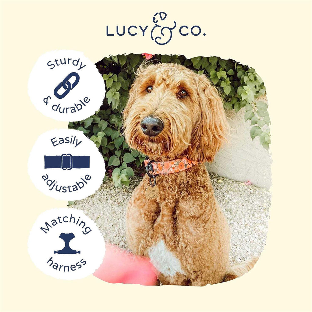 Pink Dog Collar Q280679