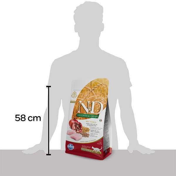 Chicken & Pomegranate Dry Cat Food U853