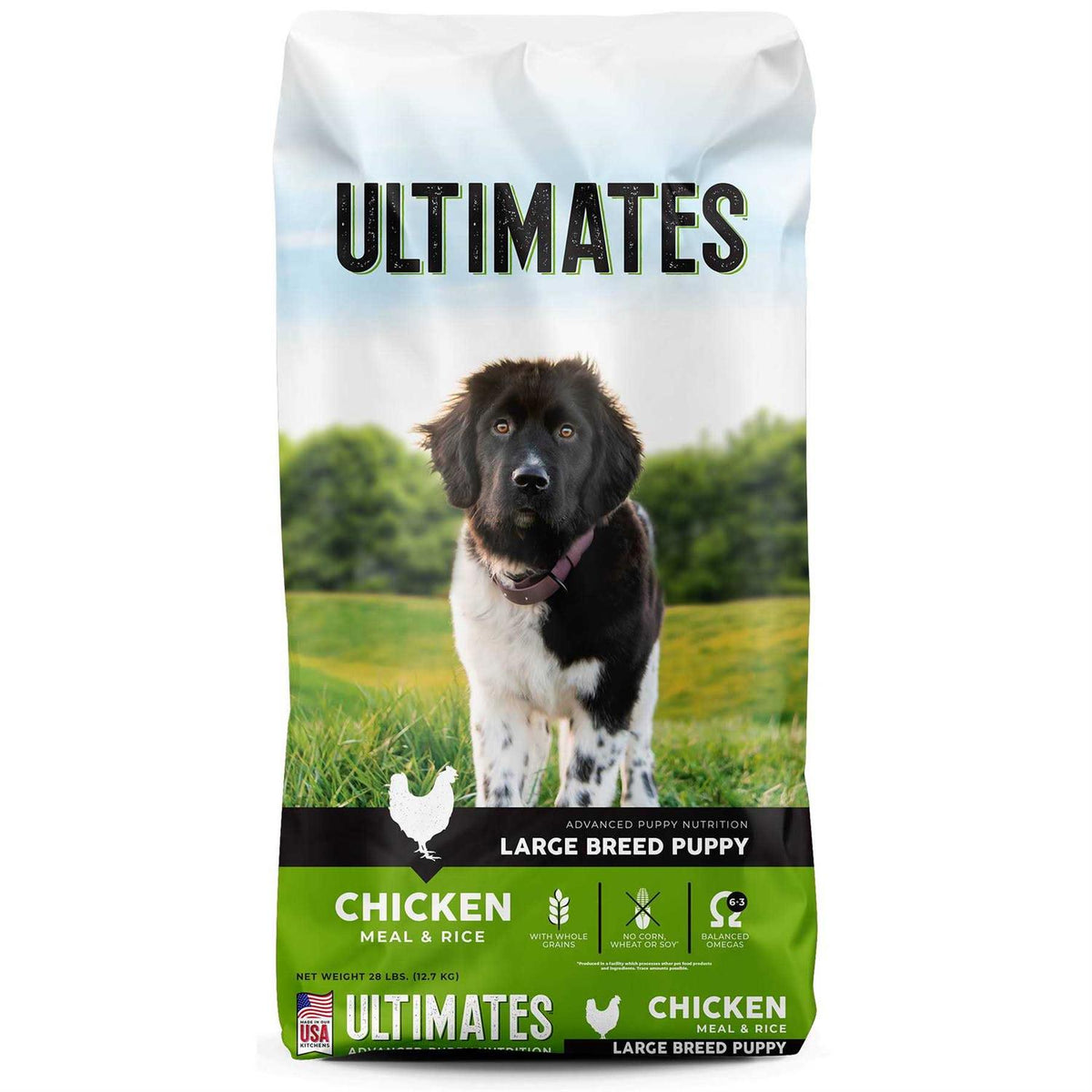 Large Breed Puppy Chicken Meal & Rice Dog Food W233812
