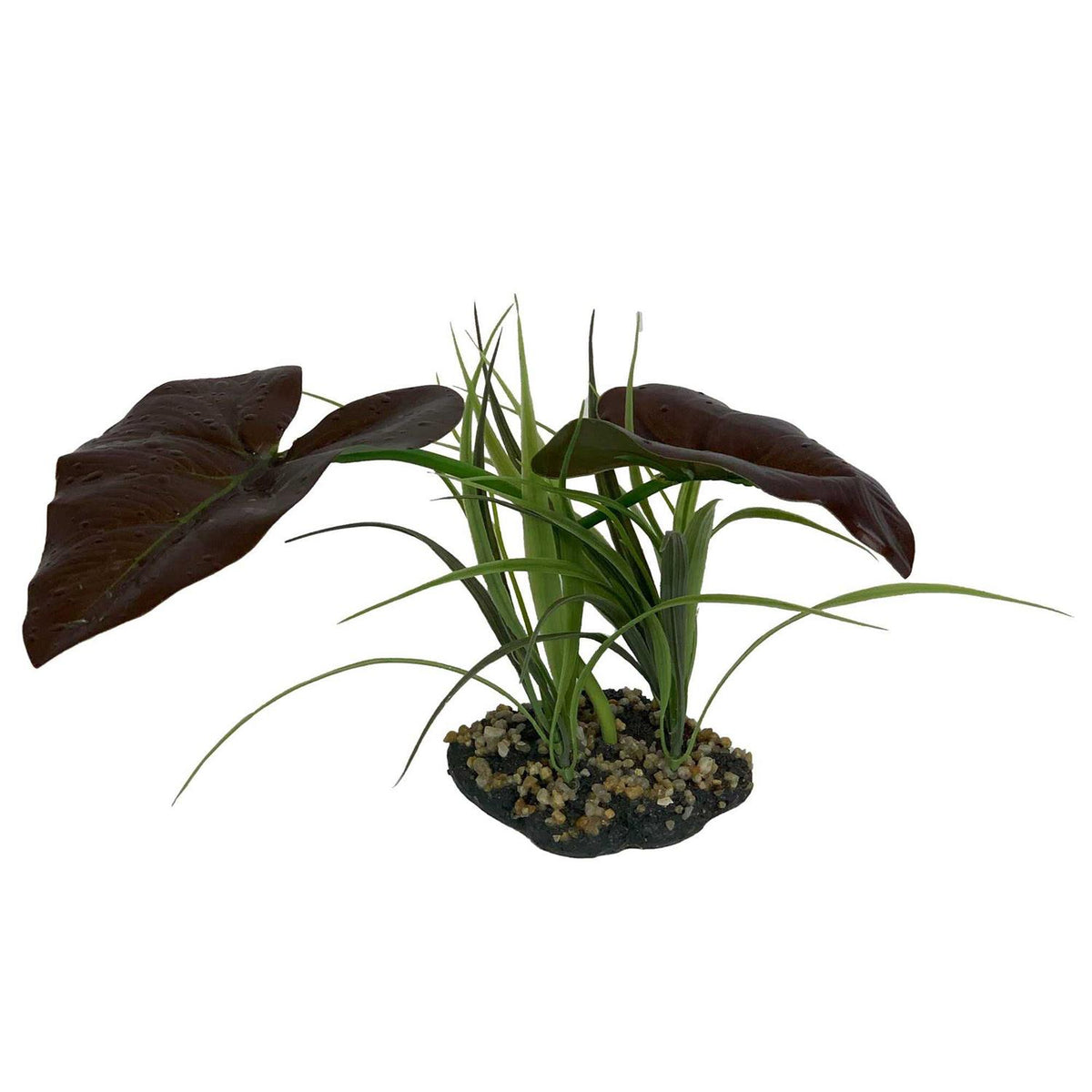 Canopy Plant M999