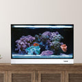 White 20 Gallon All in One Aquarium O2861