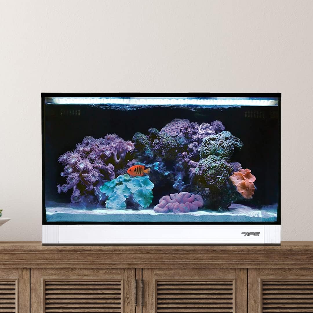 White 20 Gallon All in One Aquarium O2861
