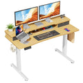 Height Adjustable Electric Standing Desk with Storage Shelf Double Drawer Z166