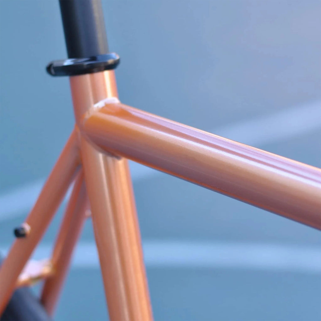 700C Single Speed Fixed Gear Bike P259