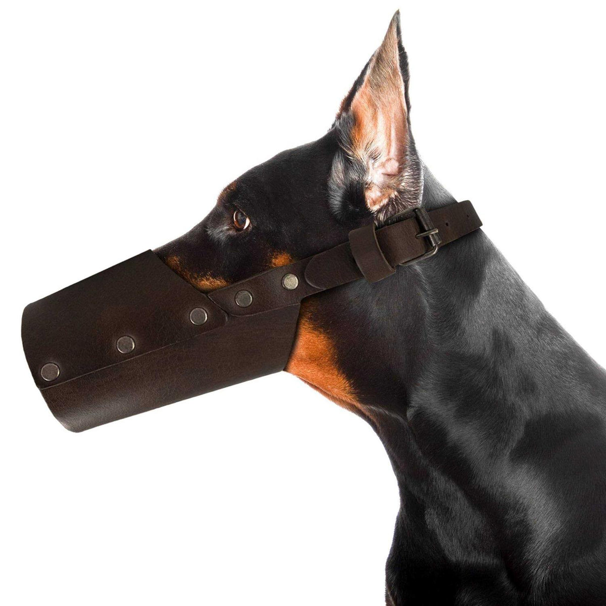 Leather Dog Muzzle Z201