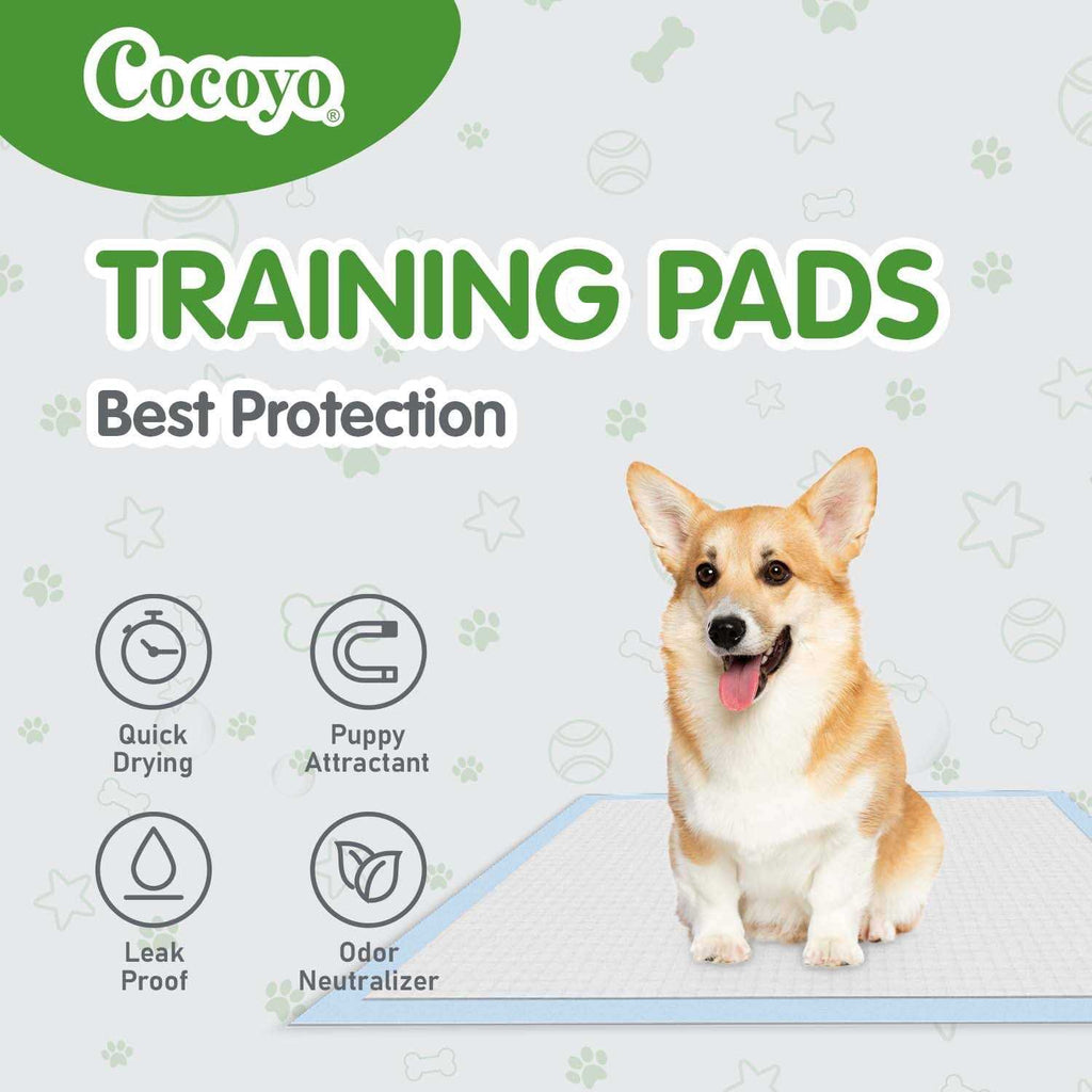 Training Pads P255598