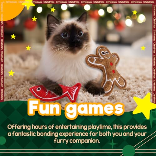 2 Set Cat Toys with Catnip B48076