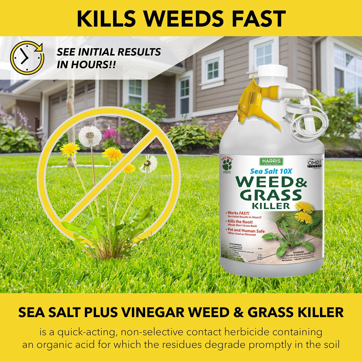 Sea Salt Weed & Grass Killer 128 oz Z60492