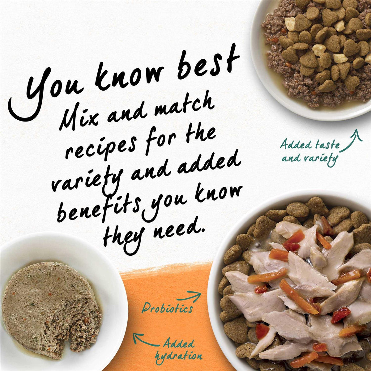 Grain Free White Meat Chicken & Egg Recipe Natural Dry Cat Food J64810