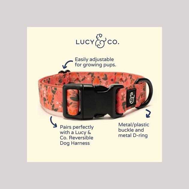 Pink Dog Collar Q280679